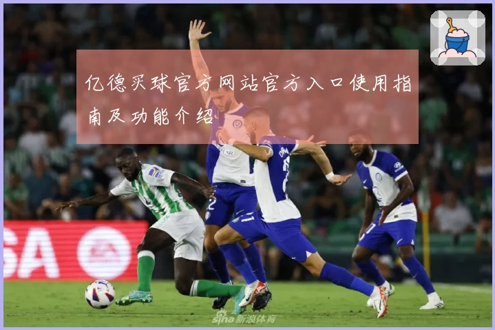 亿德买球官方网站官方入口使用指南及功能介绍