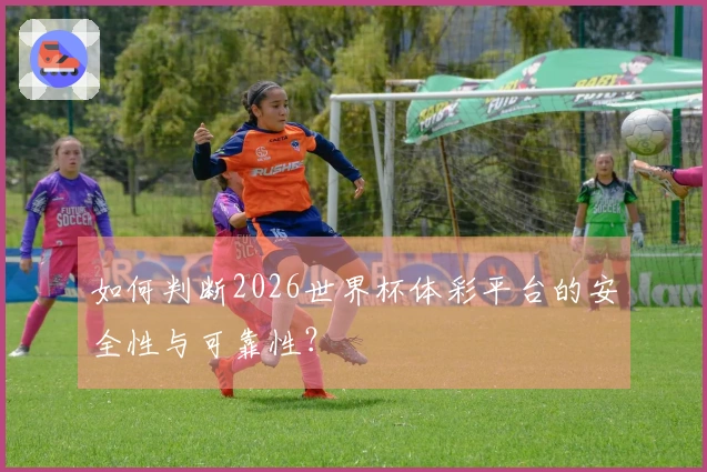 如何判断2026世界杯体彩平台的安全性与可靠性？