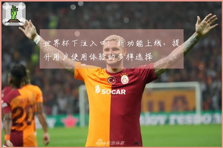 世界杯下注入口：新功能上线，提升用户使用体验的多样选择