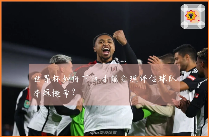 世界杯如何下注才能合理评估球队夺冠概率？