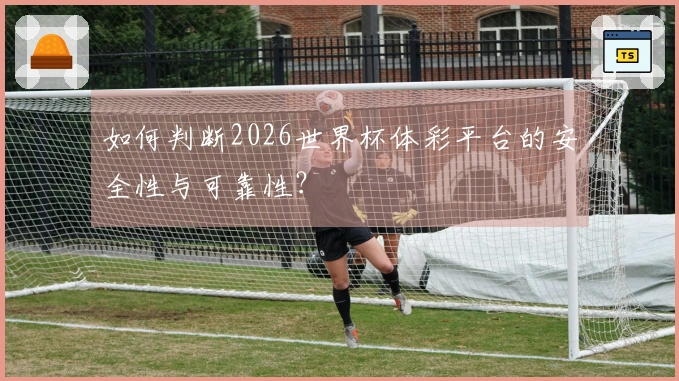 如何判断2026世界杯体彩平台的安全性与可靠性？