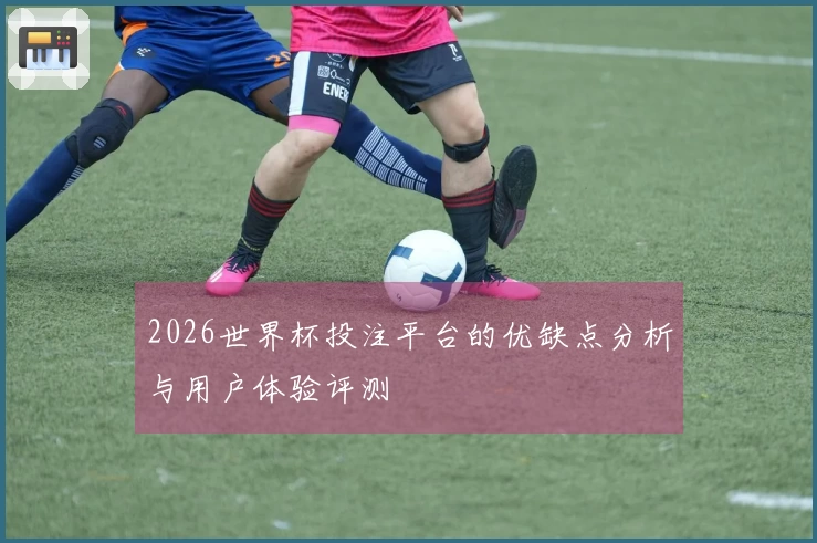 2026世界杯投注平台的优缺点分析与用户体验评测