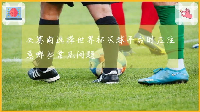 决赛前选择世界杯买球平台时应注意哪些常见问题