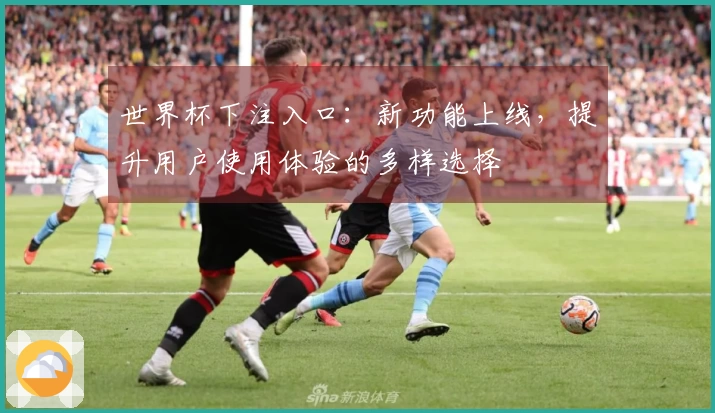 世界杯下注入口：新功能上线，提升用户使用体验的多样选择