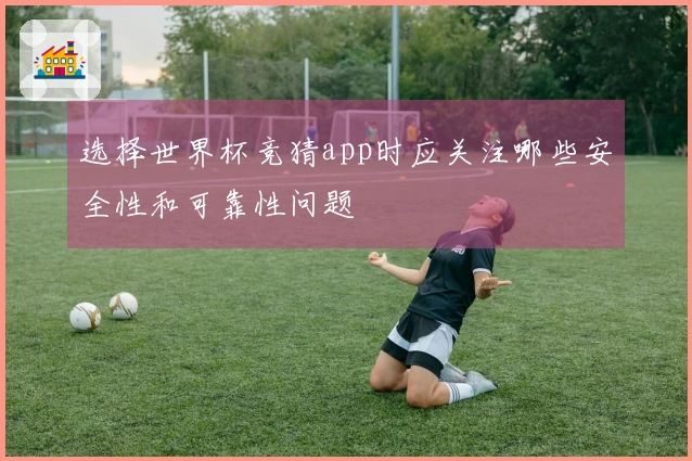 选择世界杯竞猜app时应关注哪些安全性和可靠性问题