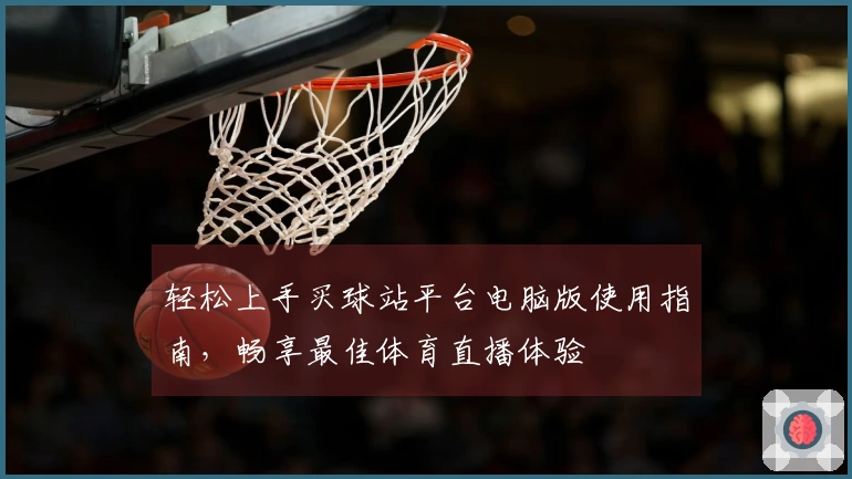 轻松上手买球站平台电脑版使用指南，畅享最佳体育直播体验
